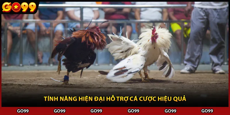 Tính năng hiện đại hỗ trợ cá cược hiệu quả